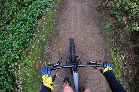 Explore Downhill Mountain In 3-Hour Bike Tour From Hobart - Accommodation Port Macquarie 2