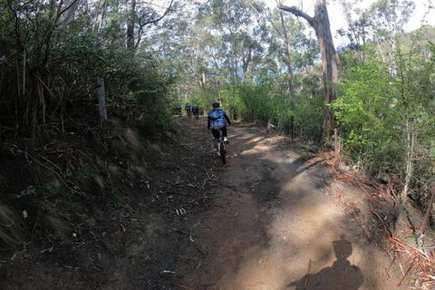Explore Downhill Mountain In 3-Hour Bike Tour From Hobart - Accommodation Port Macquarie 3