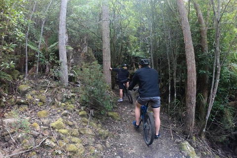 Explore Downhill Mountain In 3-Hour Bike Tour From Hobart - Accommodation Port Macquarie 4