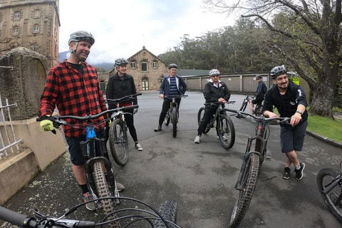 Explore Downhill Mountain In 3-Hour Bike Tour From Hobart - Accommodation Port Macquarie 5