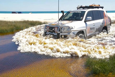 Full-Day Moreton Island 4x4 Sightseeing Tour - Accommodation Port Macquarie 0