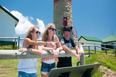 Full-Day Moreton Island 4x4 Sightseeing Tour - Accommodation Port Macquarie 3