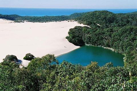 Full-Day Moreton Island 4x4 Sightseeing Tour - Accommodation Port Macquarie 5