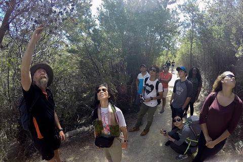 Active Day Tour One-Way From Launceston To Hobart Via Wineglass Bay - Accommodation Port Macquarie 0