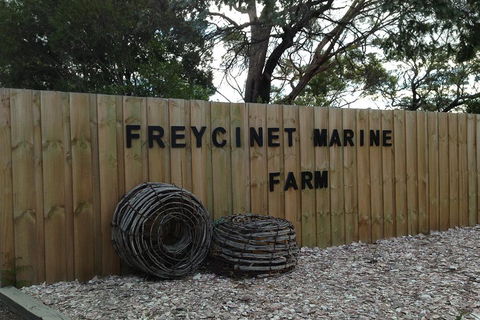 Active Day Tour One-Way From Launceston To Hobart Via Wineglass Bay - Accommodation Port Macquarie 3