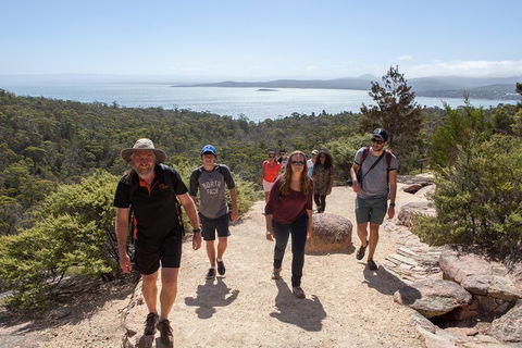 3-Day Tasmania Combo: Launceston To Hobart Active Tour Including Cradle Mountain, Freycinet National Park And Port Arthur - Accommodation Port Macquarie 5