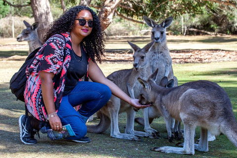 3-Day Tasmania Combo: Hobart To Launceston Active Tour - Accommodation Port Macquarie 5