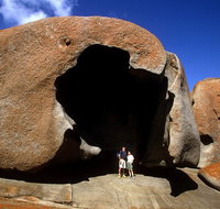 Full-Day Kangaroo Island Safari from Penneshaw - Accommodation Port Macquarie