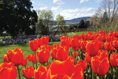 Hobart City Sightseeing Tour Including MONA Admission - Accommodation Port Macquarie 4
