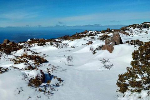 Mt Wellington Ultimate Experience Tour From Hobart - Accommodation Port Macquarie 4