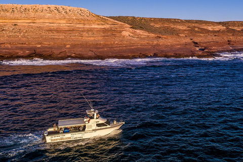 Kalbarri Sunset Coastal Cliff Cruise - Accommodation Port Macquarie 4