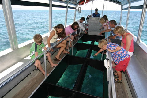 Green Island Discovery Including Glass Bottom Boat Tour Departing Cairns - Accommodation Port Macquarie 5