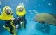 Great Barrier Reef Adventure From Cairns - thumb 2