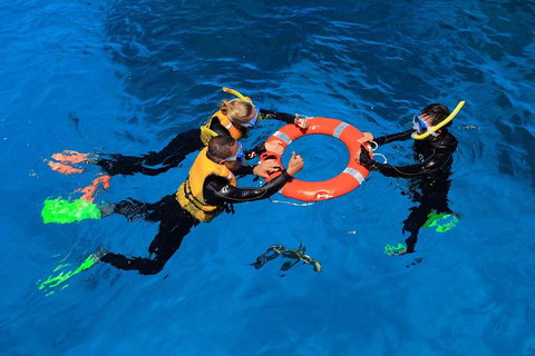 Great Barrier Reef Adventure From Cairns - Accommodation Port Macquarie 3