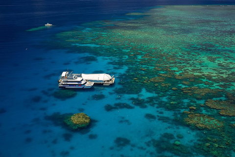 Great Barrier Reef Adventure From Cairns - Accommodation Port Macquarie 4