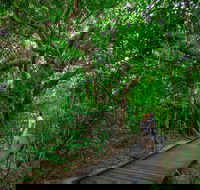 Green Island Eco Adventure from Cairns - Accommodation Port Macquarie