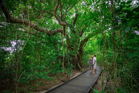 Green Island Eco Adventure From Cairns - Accommodation Port Macquarie 0