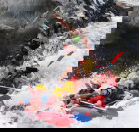 Barron Gorge National Park Half-Day White Water Rafting from Cairns or Port Douglas - Accommodation Port Macquarie
