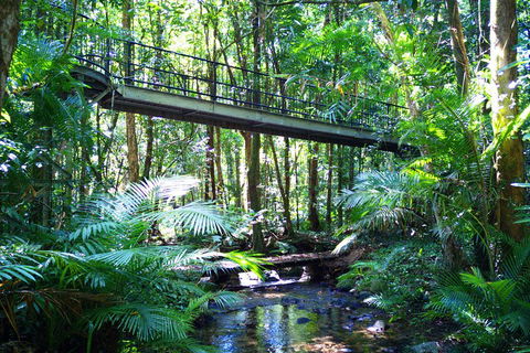 Cape Tribulation, Mossman Gorge, And Daintree Rainforest Day Trip From Cairns Or Port Douglas - Accommodation Port Macquarie 3