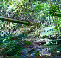 Double Pack-Ancient Rainforest and Waterfalls - Accommodation Port Macquarie