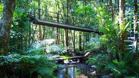 Double Pack-Ancient Rainforest And Waterfalls! - Accommodation Port Macquarie 0