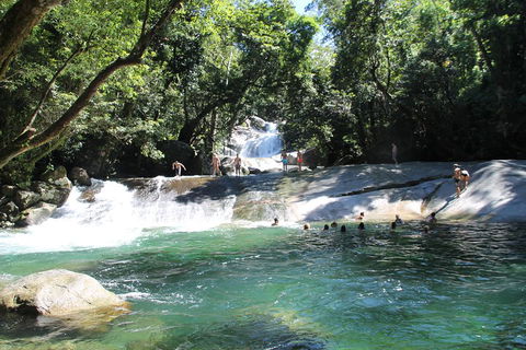 Double Pack-Ancient Rainforest And Waterfalls! - Accommodation Port Macquarie 2