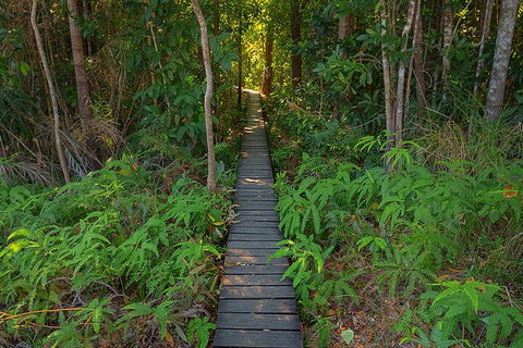 One Day Litchfield Park Adventures - Accommodation Port Macquarie 4