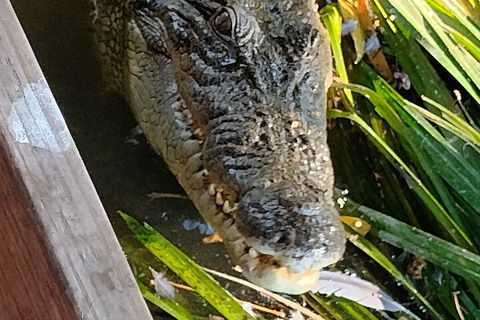 Litchfield Park Adventures And Jumping Crocodile Cruise + Butterfly Farm - Accommodation Port Macquarie 1