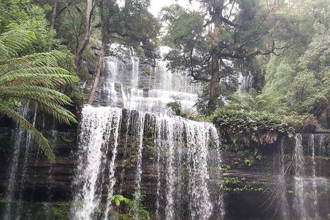6-Day Hearty Tasmania Tour (Tasmania In A Circle) - Accommodation Port Macquarie 0