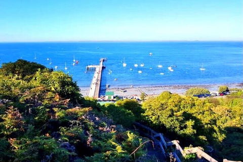 Mornington Peninsula Sightseeing Tour For 2-6 Guests. - Accommodation Port Macquarie 1
