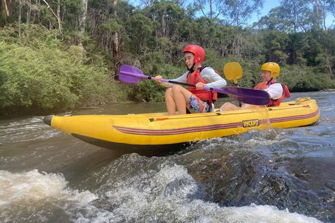 Yarra River Half-Day Rafting Experience - Accommodation Port Macquarie 1