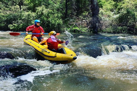 Yarra River Half-Day Rafting Experience - Accommodation Port Macquarie 4