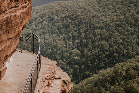 Private Blue Mountains And Wildlife Park Tour From Sydney With Barbecue Lunch - Accommodation Port Macquarie 5