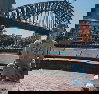 Sydney Private Tours by Locals 100 Personalized See the City Unscripted - Accommodation Port Macquarie