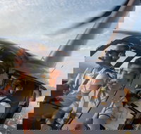 Melbourne and Port Phillip Bay Helicopter Tour - Accommodation Port Macquarie