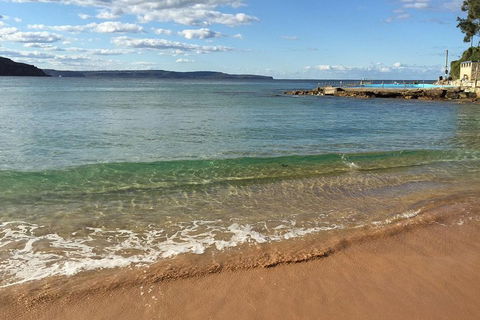 Small-Group Sydney's Northern Beaches And Ku-ring-gai National Park Bus Tour - Accommodation Port Macquarie 1