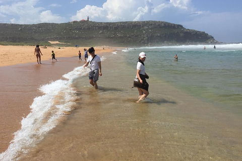 Small-Group Sydney's Northern Beaches And Ku-ring-gai National Park Bus Tour - Accommodation Port Macquarie 5