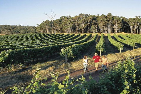 2-Day Margaret River Wine Experience From Perth - Accommodation Port Macquarie 3