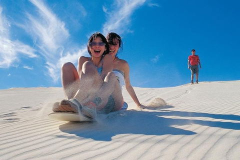 Pinnacles Desert, Koalas And Sandboarding 4WD Day Tour From Perth - Accommodation Port Macquarie 3