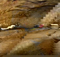 2-Day Wave Rock York Wildflowers  Aboriginal Experience - Accommodation Port Macquarie