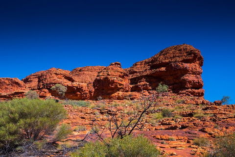 7-Day Guided Tour Of Alice Springs With Accommodation Included - Accommodation Port Macquarie 4