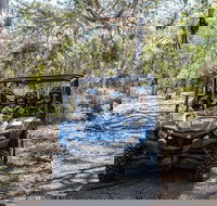 Small-Group Buggy Tour at Little Sahara with Guide - Accommodation Port Macquarie