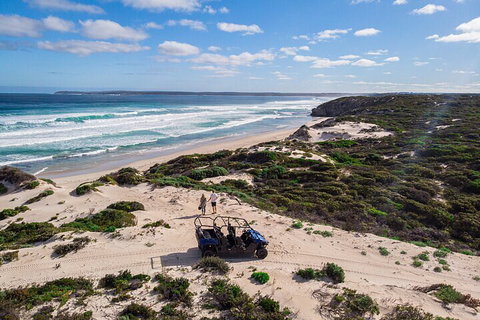 Small-Group Buggy Tour At Little Sahara With Guide - Accommodation Port Macquarie 1