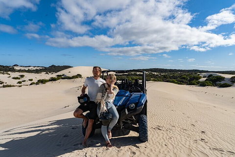 Small-Group Buggy Tour At Little Sahara With Guide - Accommodation Port Macquarie 2