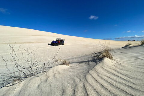 Small-Group Buggy Tour At Little Sahara With Guide - Accommodation Port Macquarie 3