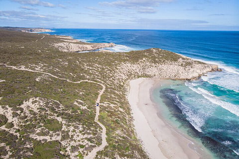 Small-Group Buggy Tour At Little Sahara With Guide - Accommodation Port Macquarie 4