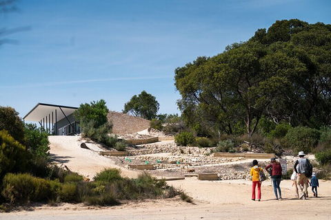 2-Hour Koala Walking Tour In Kangaroo Island - Accommodation Port Macquarie 3