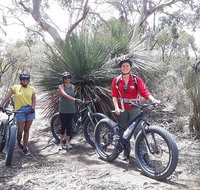 2 Hour Bike Tour in Kangaroo Island - Accommodation Port Macquarie