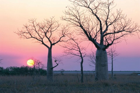 8-Day Outback Experience From Queensland - Accommodation Port Macquarie 5