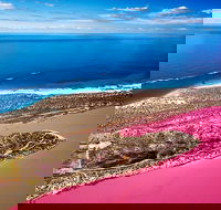 Pink Lake Small-Group Buggy Tour - Accommodation Port Macquarie
